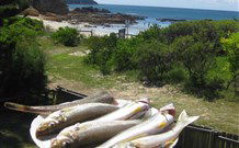 60s Beach House Tomakin - Hobart Tourism 1