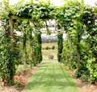 All Saints Bed and Breakfast - Tourism TAS