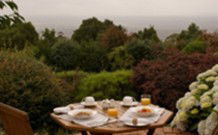 Barefoot Springs Bed And Breakfast - Hobart Tourism 0