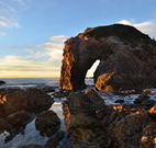 Bellbird Cottage Bed and Breakfast - Hobart Tourism