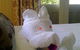 Bonnay - thumb 3