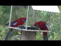Bower At Broulee - Tourism TAS 1