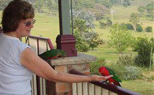 Bryn Glas Bed And Breakfast - Tourism TAS 1