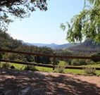 Cedar Grove - - Hobart Tourism