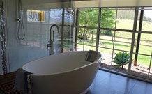 Cedar Grove - - Tourism TAS 3