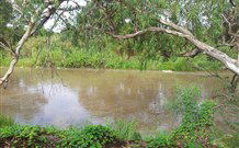 Coonamble Motel - Tourism TAS 2
