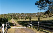Cruickshanks Armidale Bed And Breakfast - Tourism TAS 1