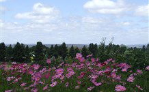 Cruickshanks Armidale Bed And Breakfast - Tourism TAS 4