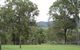 Elfin Hill - thumb 1