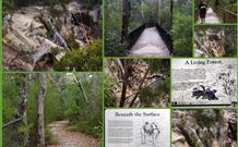 Finchley Bed And Breakfast - Tourism TAS 7