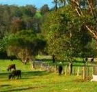 Giba Gunyah Country Cottages - Hobart Tourism