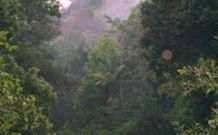 Havans Ecotourist Retreat - - Tourism TAS 0