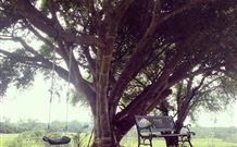 Kabana Luxury Accommodation - Tourism TAS 3