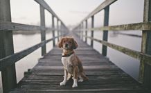 Kabana Luxury Accommodation - Tourism TAS 5