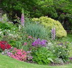 Karralika Springs B and B Mountain Retreat - - Hobart Tourism