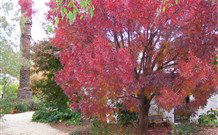 Langford House B&B - Hobart Tourism 4
