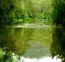 Mangrove Yoga Ashram - - Tourism TAS