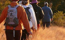 Mangrove Yoga Ashram - - Tourism TAS 3