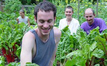 Mangrove Yoga Ashram - - Tourism TAS 8