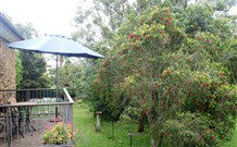 Peaceful Palms Bed And Breakfast - - Tourism TAS 6