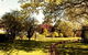 Petersons Guesthouse - thumb 3