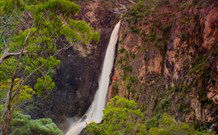 Petersons Guesthouse - Tourism TAS 2