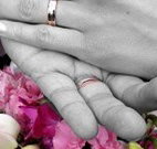 Salisbury Lodges and Araluen Restaurant - Hobart Tourism