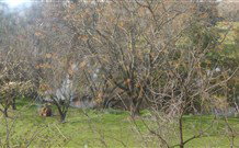 Sheridan B And B - Tourism TAS 2