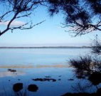 The Edgewater Bed and Breakfast - Hobart Tourism
