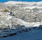 The Lions Lair Lodge -