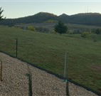 Towac Valley Cabins - Hobart Tourism
