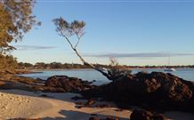 Tree Tops Bed And Breakfast Jervis Bay - Tourism TAS 6