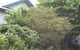 Bundanoon Guest House - thumb 1