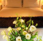 Winton Luxury Bed and Breakfast - Tourism TAS