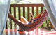 The Belfry Guesthouse Bellingen - thumb 1