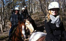 Jemby Rinjah Eco Lodge - Tourism TAS 1