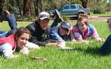 Murwillumbah  YHA Mount Warning - Tourism TAS 2