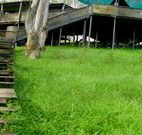 Snowy Valley Resort - Tourism TAS