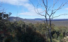 Wollongong Backpackers Keiraleagh - Tourism TAS 4