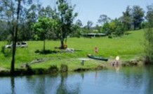 Wallalong NSW Hobart Tourism