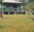 Bewong River Retreat - Hobart Tourism