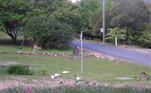 Calurla Chalets And Cottages - Tourism TAS 2