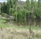 Cedar Grove - Hobart Tourism