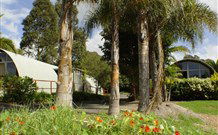 Craigie NSW Tourism TAS