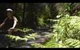 Currawong Cottage Blackheath - thumb 1