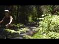 Currawong Cottage Blackheath - Tourism TAS 1