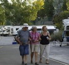 Ducks Crossing - Tourism TAS