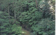 Eco Huts - Jervis Bay Getaways - Tourism TAS 1