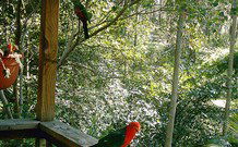 Eco Huts - Jervis Bay Getaways - Tourism TAS 2