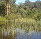 Fosterton Lodge Retreat - Hobart Tourism